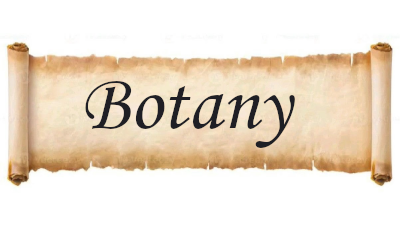 Botany Library